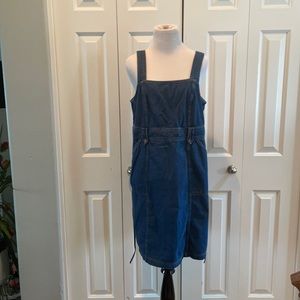 Women’s Maternity Denim Dress, Size Large